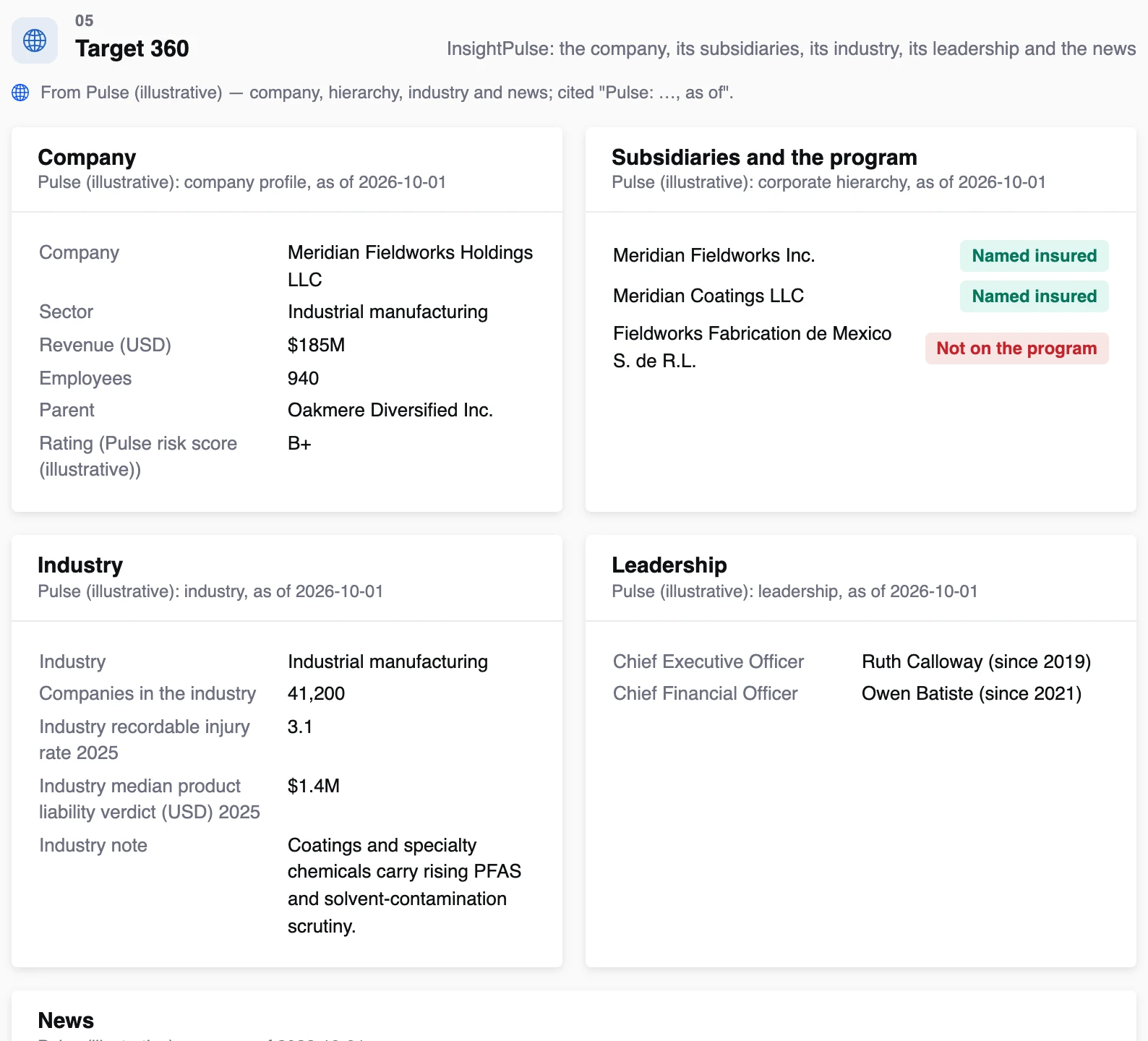 Target 360 from InsightPulse: company, subsidiaries against the program, industry, leadership, news